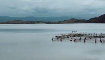 overcast-fish-farm