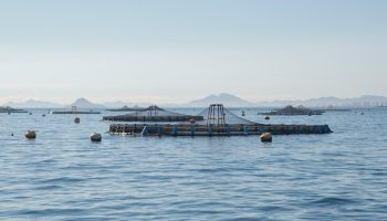 fish-farm-mountain-background